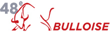 website logo