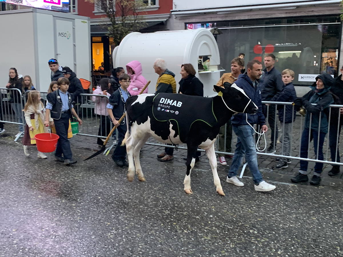Image Corrida bulloise 2024