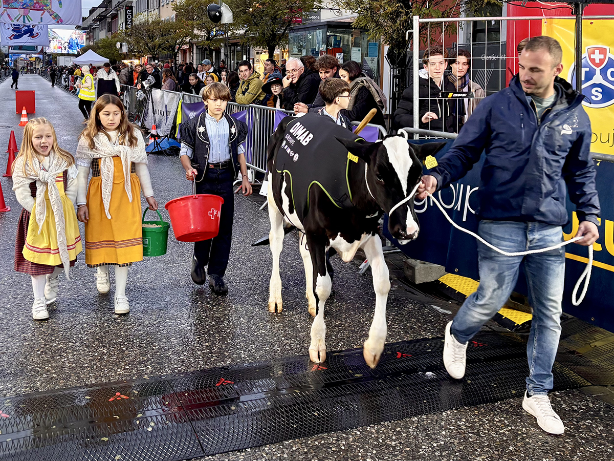 Image Corrida bulloise 2024